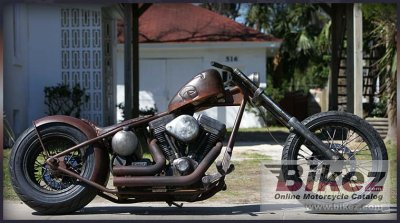 2010 Exile Cycles Brown Pearl photo
